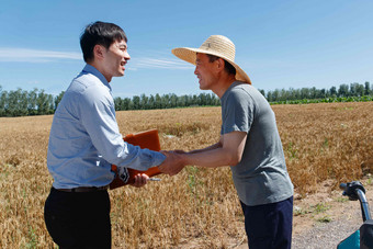 麦田里农民感谢科研人员麦穗高质量相片