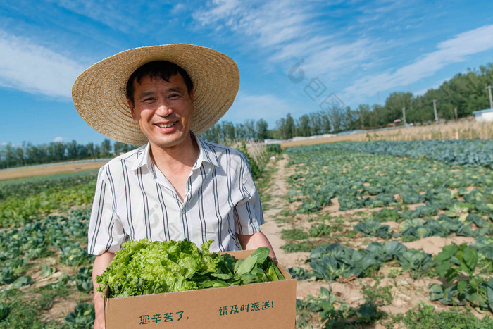 农民拿着一箱蔬菜田地摄影