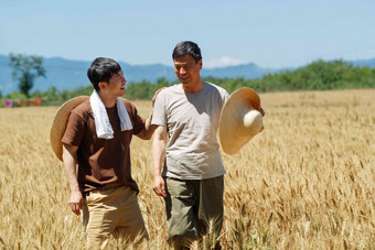 农民和科研人员农田中国亚洲清晰素材