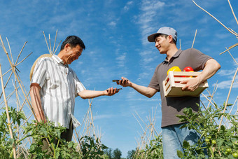 农民快递蔬菜东亚高质量相片