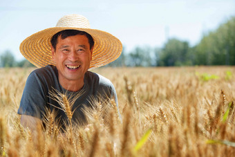 麦田喜悦种植田地露齿一笑高端摄影