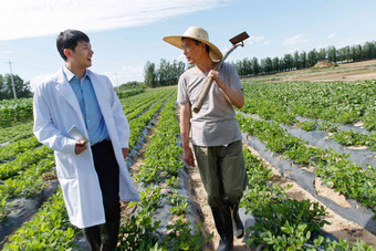 科研人员和农民在菜地里交流技术东亚清晰摄影