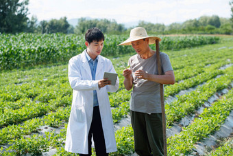 科研人员和农民在菜地里交流技术研究氛围照片