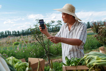农民在线直播销售农产品沟通清晰相片