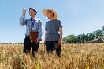 科研人员和<strong>农民</strong>在麦田里交流技术