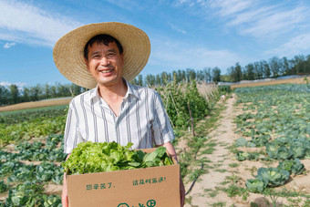 农民拿着一箱蔬菜户外高清素材