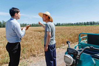 科研人员和农民在麦田旁交流白昼写实摄影