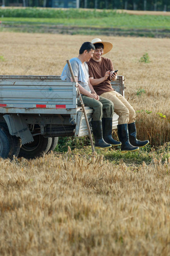 坐在车上使用手机的农民粮食高质量照片