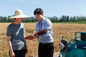 科研人员和农民在麦田旁交流收获高质量相片