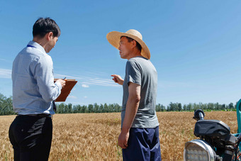 科研人员农田种植亚洲人高质量图片