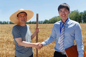 科研人员和农民在麦田里小麦清晰场景