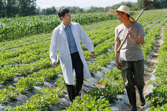 科研人员和农民在菜地里交流技术