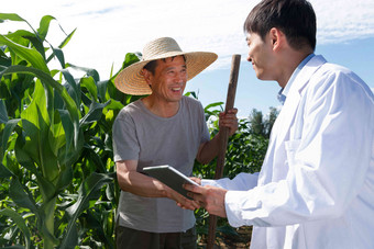 科研人员和农民在菜地里交流技术