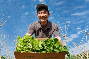 菜地里抱着新鲜蔬菜的快递员营养写实素材