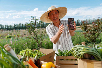 农民在线直播销售农产品青菜氛围照片