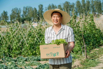 农民拿着一箱蔬菜农作物高质量场景