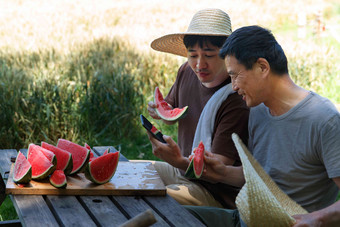 农民在田地旁休息吃西瓜