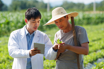 科研人员和农民在菜地里交流技术