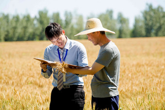 农民和科研人员分享技术农业中国人摄影图