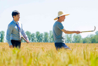 农民麦田农作物表现积极高质量摄影图