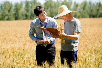 农民和科研人员农业工程师中国人氛围照片