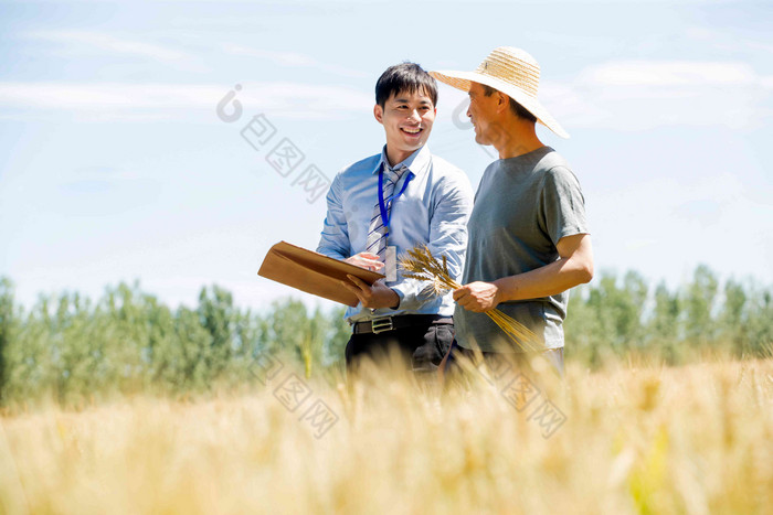 技术员讲解田地农作物高清场景