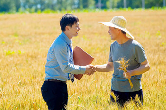 农民讲解研究<strong>麦穗</strong>照片