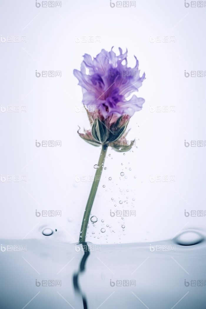 一个花高清图片下载-包图网