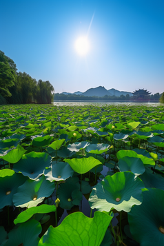 夏季莲花塔建筑湖水塔摄影图数字艺术6