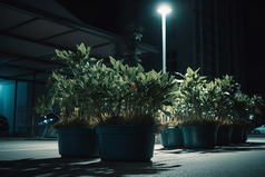 夜晚植物盆栽路灯街边路面摄影图28