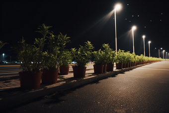 夜晚植物盆栽路灯街边路面摄影图21