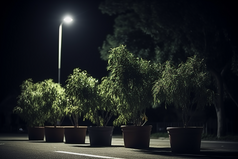夜晚植物盆栽路灯街边路面摄影图27