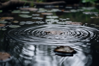 涟漪池塘多雨的季节水面波纹摄影图18