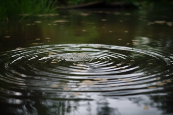 涟漪池塘多雨的季节水面波纹摄影图7