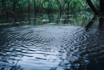 涟漪池塘多雨的季节水面波纹摄影图6