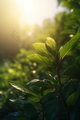 立夏植物节气阳光美好的天气摄影图7