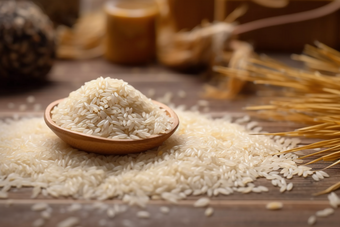 稻米大米粮食谷物麦穗摄影图6