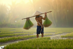 农民种植稻田收获丰收摄影图6