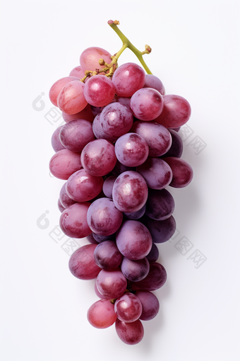 一串葡萄专业特写水果