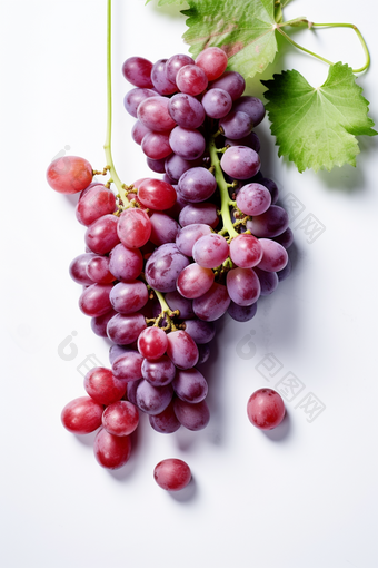 一串葡萄专业水果