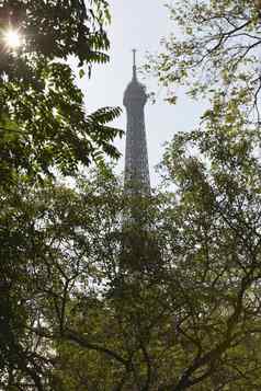 视图埃菲尔铁塔塔树天空巴黎法国