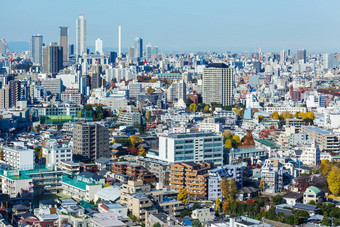 城市景观东京