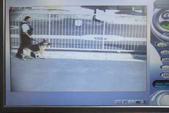 <strong>视频监控</strong>图片安全相机显示警卫狗