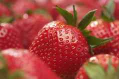 完整的框架图像新鲜的草莓