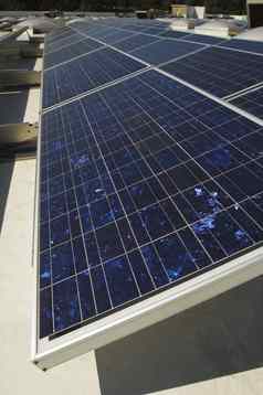 太阳能面板太阳能权力植物