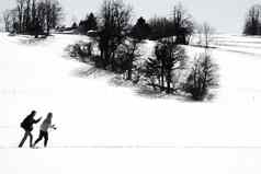 交叉国家滑雪者滑雪雪冬天景观