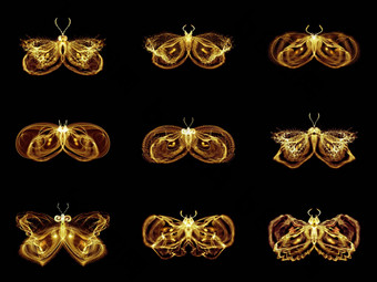 集合分形蝴蝶