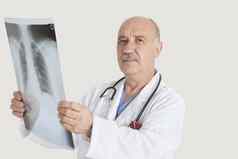 肖像高级医生持有医疗射线照片灰色的背景