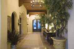 基斯吊灯入口走廊盆栽植物现代房子