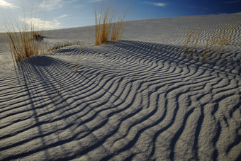 沙子涟漪沙漠美国
